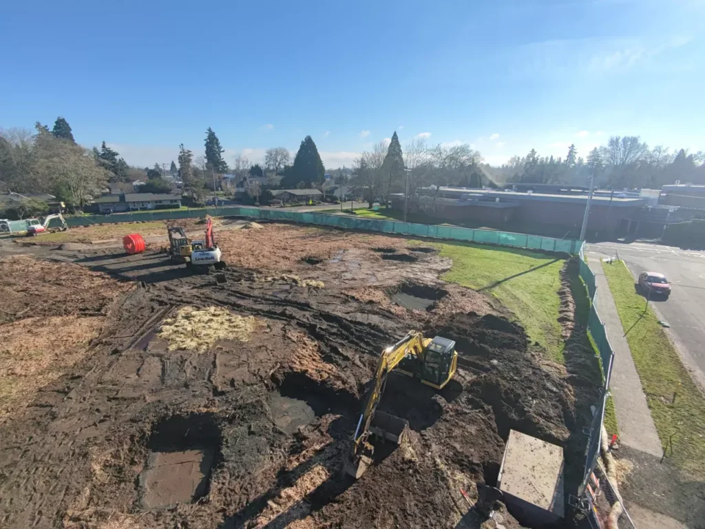 Buchanan Cluster Cottages Drone Photo