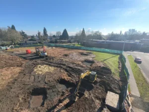 Buchanan Cluster Cottages Drone Photo
